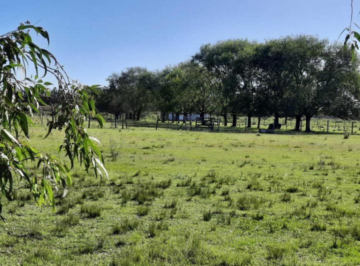 Terreno · 36356m²