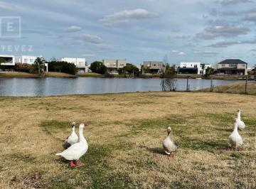 Terreno · 856m² · Lote a La Laguna en Venta, Barrio Norte, El Cantón, Escobar