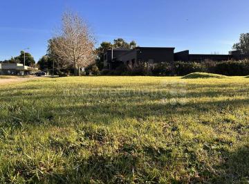 MRE-MRE-2386_2 · Venta Lote en Chascomus Cerca de La Laguna