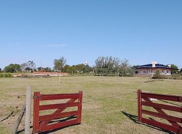 Terreno , Concepción del Uruguay · Lotes de 1250 m Cuadrados en Concepcion del Uruguay Entre Rios