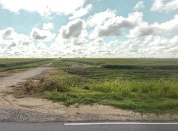 Campo · 299200m² · Campo de 29,9 Has Para Cultivos Extensivos con Alto Potencial en Zona Núcleo
