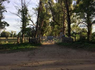 Campo 1400ha Venta  · Ruta 20 - Villa Dolores, Valle Traslasierra - Cordoba / Campo en Venta