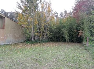 Terreno , Miramar · Venta Lote Miramar Bristol Calle Falucho