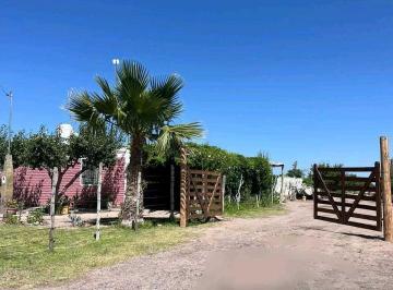 Campo · 100000m² · Venta de Finca Productiva y Completa 10 Has en Phillip, Junin, Mendoza
