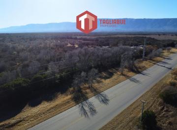 Campo · 100000m² · Campo en Ruta Cinco en Merlo, San Luis