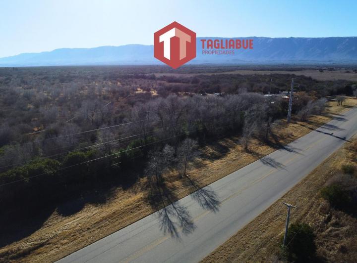 Campo · 100000m²