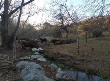 Foto · Campo con Arroyo Ideal Para Explotacion Turistica a 1 Km de Villa Tulumba! Recibo Menor