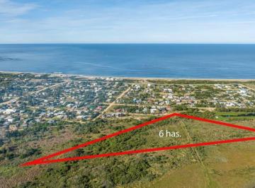 Terreno · 240000m² · Lote en Venta de 6 Ha en La Juanita