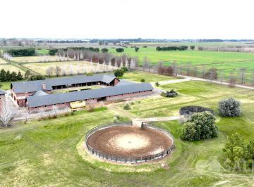 Campo · 4060000m² · Haras en Chenaut con Zona Club de Campo