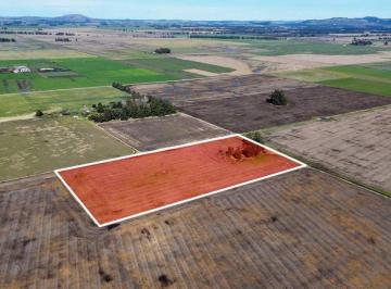 Campo · 7ha · Venta Chacra 7 Ha.