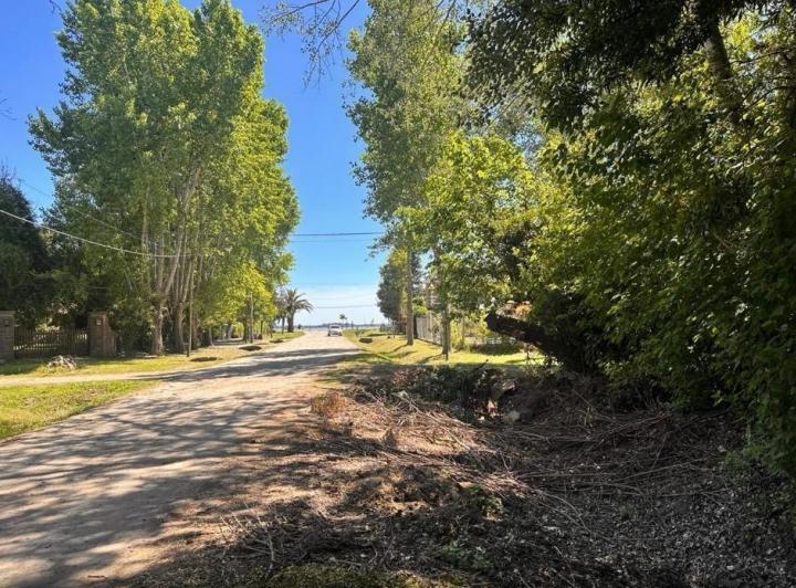 Terreno · 1000m²