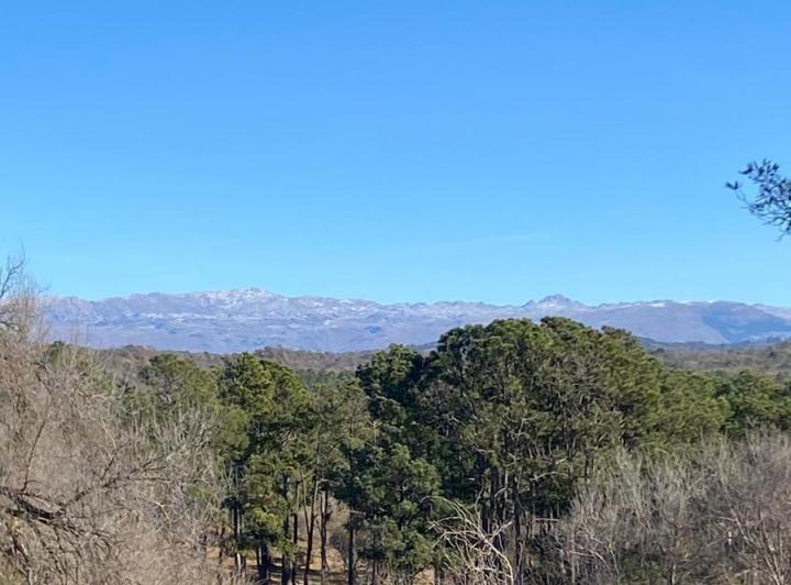 Terreno · 980m²