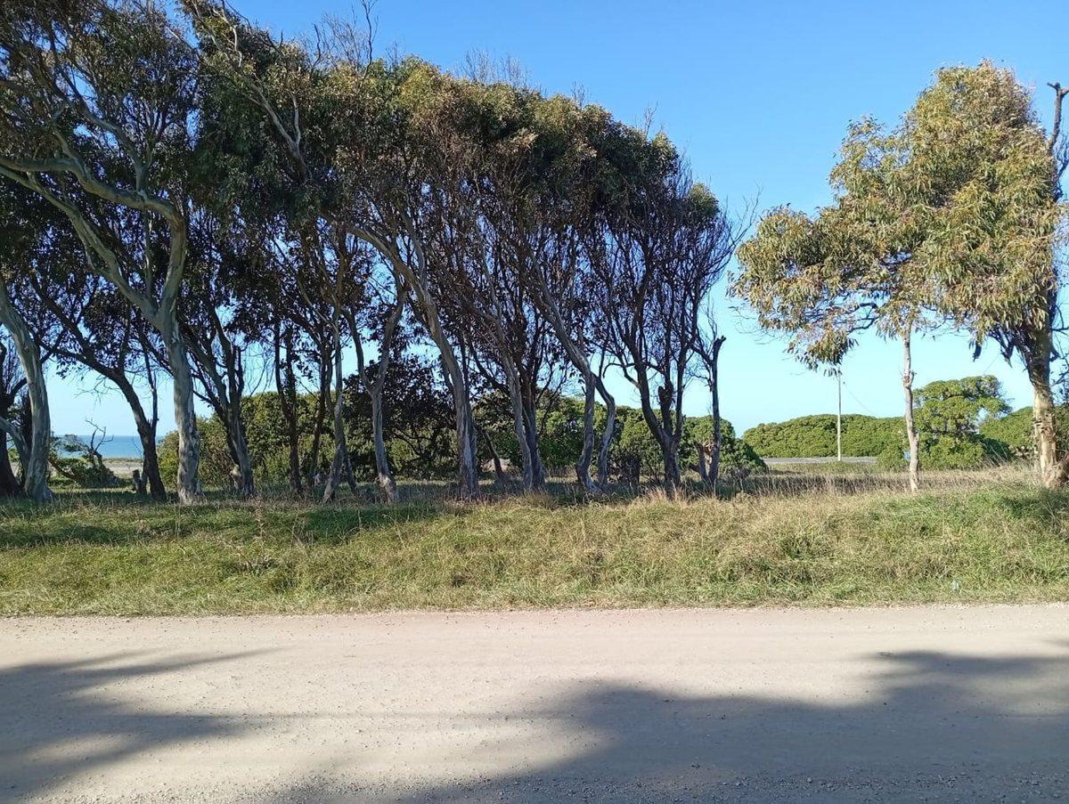 Las Caracolas Entre Av. Lobos Marinos y los Narvales S/N,  Mar del Plata, Buenos Aires Costa Atlántica
