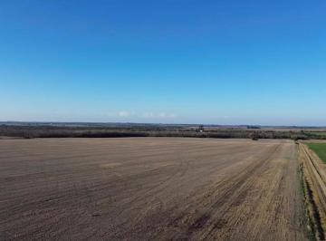 Campo , Paraná · Campo 87 Ha en Parana