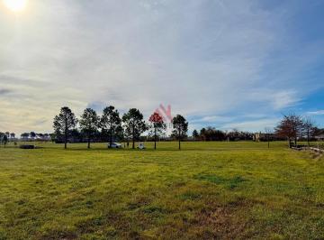 Terreno · 4072m² · Terreno Lote en Venta en Chacras de La Cruz, Exaltación de La Cruz, G. B. a. Zona Norte