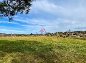 Terreno · 4072m² · Terreno Lote en Venta en Chacras de La Cruz, Exaltación de La Cruz, G. B. a. Zona Norte