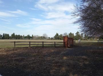 Campo · 1700m² · 15 Ambientes · Chacra en Pilar