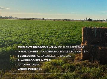 Campo , Arocena · Arocena 230 Has Ganaderas. Instalaciones. Buena Ubicación. Campo en Venta.