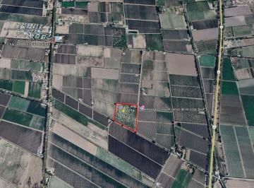Campo , La Consulta · Venta de 5 Has en La Consulta - San Carlos