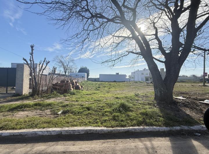 Terreno · 344m²