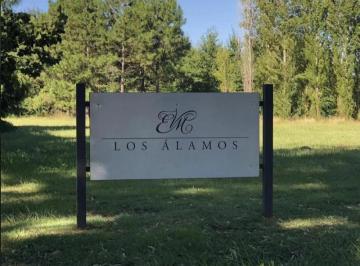 Terreno · 3947m² · Gran Oportunidad!lote de 3900 m² en Los Álamos, Uno de Los Sectores Más Bellos de Estancia Villa María