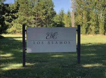 Terreno · 3947m² · Gran Oportunidad!lote de 3900 m² en Los Álamos, Uno de Los Sectores Más Bellos de Estancia Villa María
