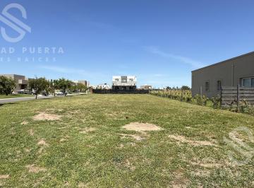Terreno · 609m² · Lote Central Esquina - Santa Elisa