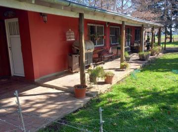 Campo · 54ha · Campo en Venta en Lobos 54 Ha