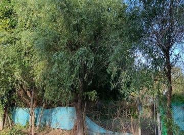Terreno · 285m² · Terreno en Venta en 454 E/ 29 y 30, City Bell