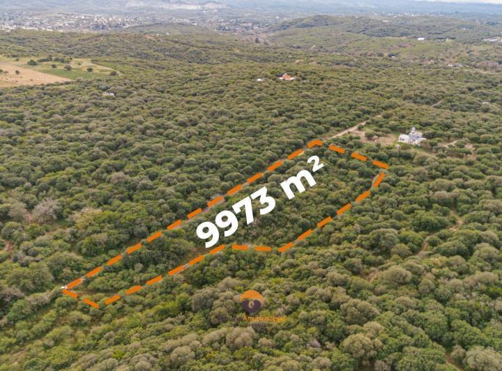 Terreno · 9973m²