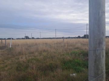 Terreno , Bahía Blanca · Felipe Varela 960, Vende Terreno