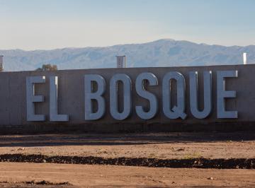 Terreno , Rodeo del Medio · Venta – Lotes R11 y R12 “el Bosque”, Maipú.