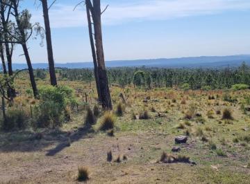 Campo , Santa Rosa de Calamuchita · Muy Buen Campo en Atum Pampa - Cordoba