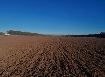 Terreno , Córdoba · Alquilo - Campo - La Carbonada - Usos Varios
