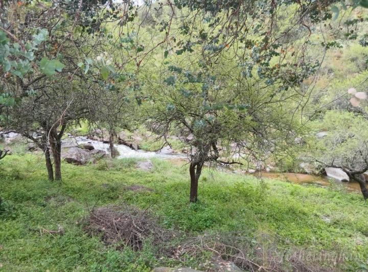 Terreno · 700m²
