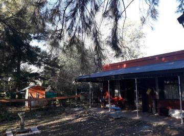 Quinta vacacional de 4 ambientes, Pilar · Pilar! Quinta 3.200 m² Chacras La Agustina! 2 Casas y Pileta, Arboleda!