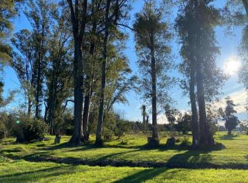 Terreno · 2000m² · Lote en Venta en Mercedes con Potencial Desarrollo