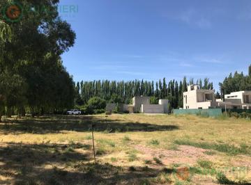 Terreno · 1m² · Terreno en La Comarca Centenario