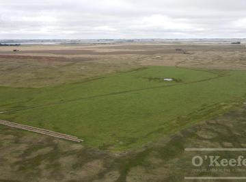 Campo · 60m² · 3 Ambientes · Campo en Venta 175 Has Chascomus