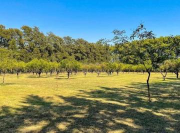 Terreno · 1000m² · Terreno en Azhares del Parana - Fighiera