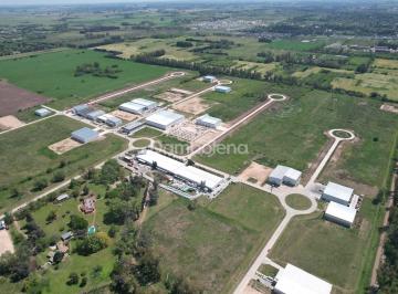 Terreno · 10000m² · Terreno Fraccion en Venta General Rodríguez