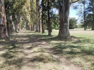 Campo de 4 ambientes, Pilar · Excelente Chacra Arbolada Ideal Para Polo
