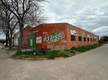 Local comercial de 6 ambientes, General Belgrano · Local/galpón 735 m². Laprida 1125 Esquina José Miño, General Belgrano, Bs As.