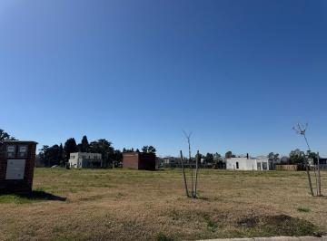 Terreno · 565m² · Venta de Lote en Santa Sofia Pilar del Este