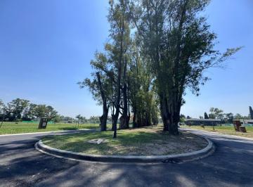 Terreno · 565m² · Venta de Lote en Santa Sofia Pilar del Este