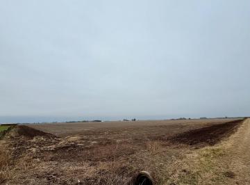 Campo · 40000m² · Campo Soldini Ruta 14