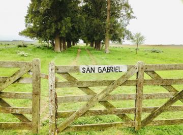 Campo · 610000m² · Campo de 61has en Venta en Ruta 3 Km Km 72, Cañuelas.