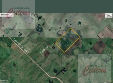Campo · 610000ha · Campo de 61has en Venta en Ruta 3 Km Km 72, Cañuelas.