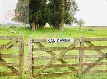 Campo · 610000ha · Campo de 61has en Venta en Ruta 3 Km Km 72, Cañuelas.
