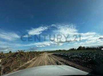 Campo · 280000m² · Finca en Chapanay San Martin